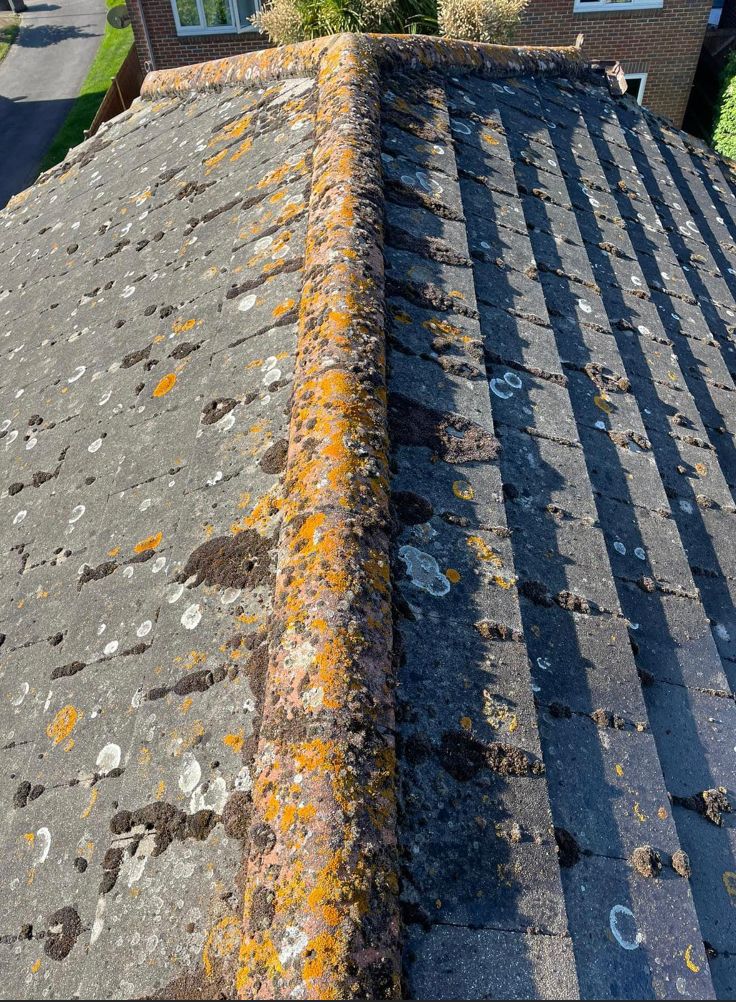 Roof Cleaning Soton before