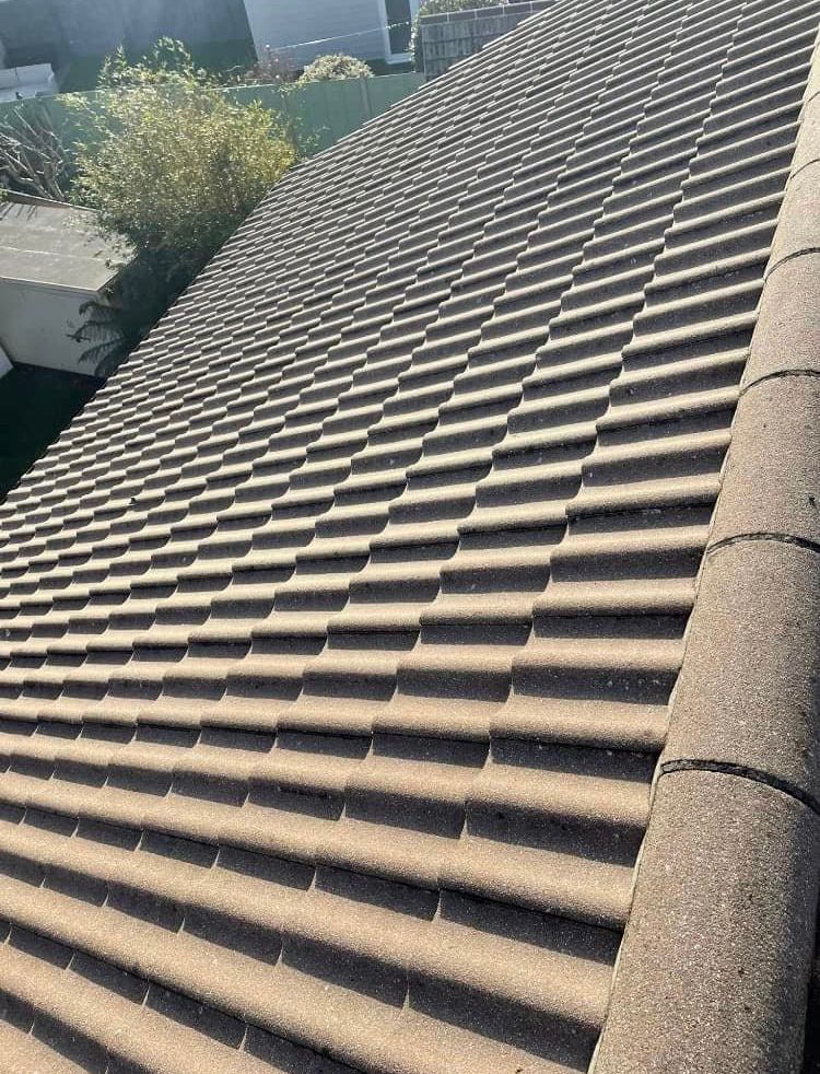 Roof Cleaning Christchurch