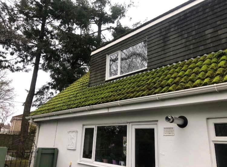 Roof Cleaning West Moors
